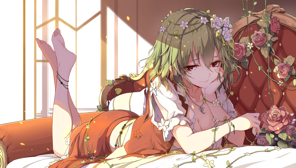 boxmoe_header_banner_img