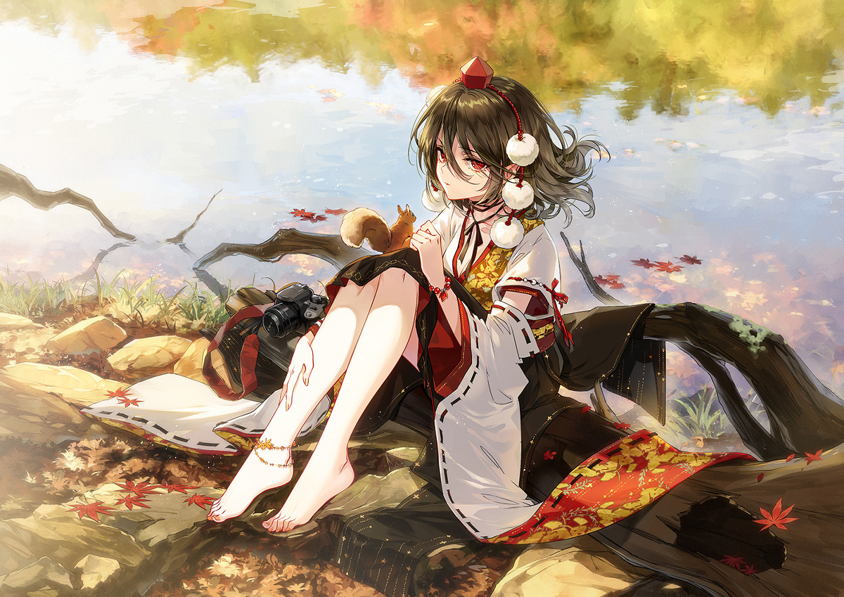 boxmoe_header_banner_img